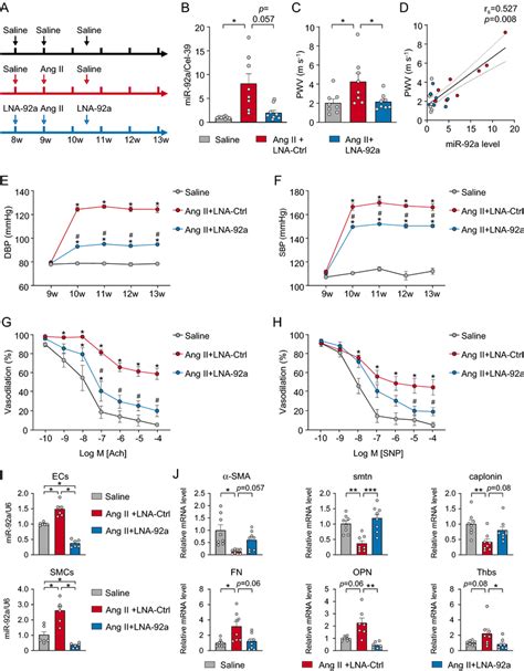 Lna Mir 92a Reduces Hypertension Susceptibility A Experimental