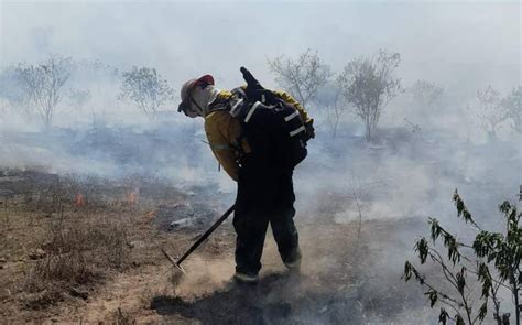 Sequía En Jalisco Agravará Los Incendios Forestales Durante El 2024