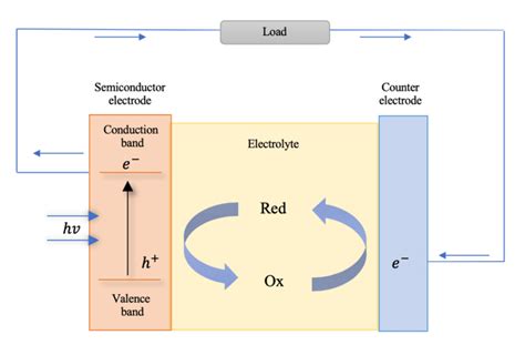 Schematic Of A Photoelectrochemical Cell Download Scientific Diagram