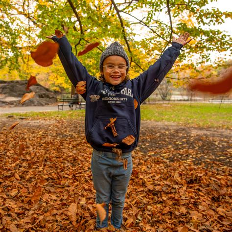 Central Park Zoo | Central Park Conservancy