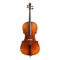 Violoncello Usato In Italia Vedi Tutte I Prezzi