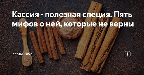 Кассия - полезная специя. Пять мифов о ней, которые не верны | Спелый ...
