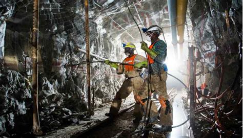 harmony gold reports fatality  target     state