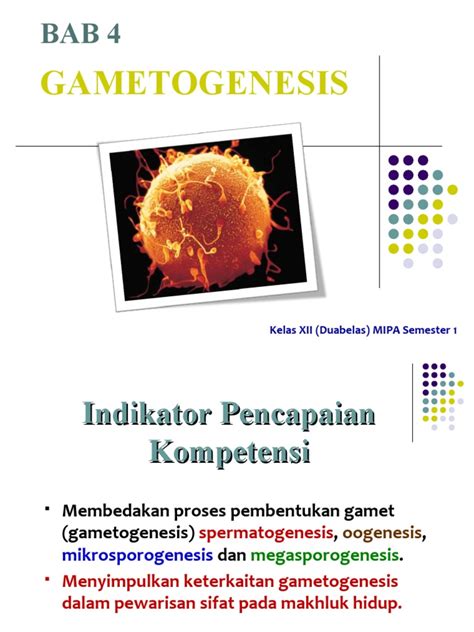 Bab 4 Gametogenesis And Variasi Genetik Pdf