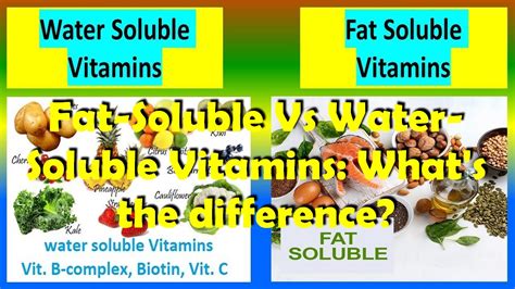 Fat Soluble Vs Water Soluble Vitamins What S The Difference Seo