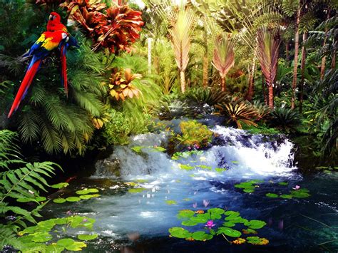 Tropical Paradise Tropical Paradise Tropical Waterfall