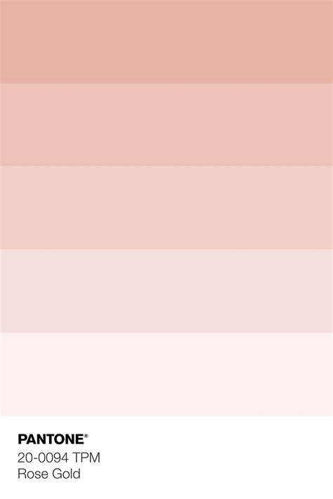 Rose gold pantone – Artofit