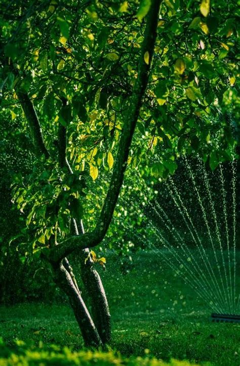 Orbit Sprinkler Head Adjustment How To Discuss