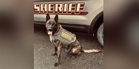 Starke County Sheriffs Office K9 Receives Body Armor Donation