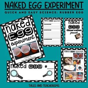 Quick And Easy Science Experiment Create A Rubber Nakedegg In Your