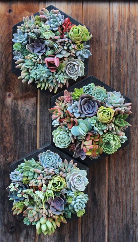 38 Indoor Succulent Display Ideas To Beautify Your Home Homemydesign