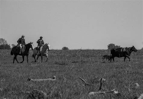 Pin En Campo Argentino