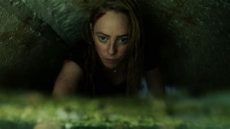 Crawl 2019 Movie Moviefone