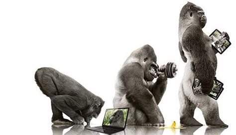 Gorilla Glass Vs Sapphire Unbreakable Phones