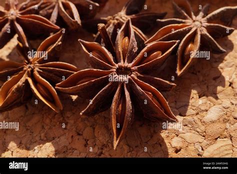 Macro Popular Spice Commonly Called Star Anise Staranise Star Anise