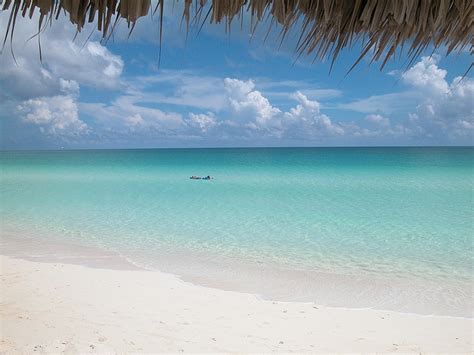 17 best Cayo Coco Cuba images on Pinterest | Cayo coco cuba, Hotels and ...