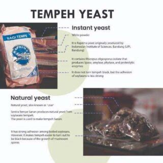 Natural & Instant Yeast | Download Scientific Diagram
