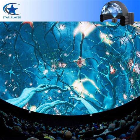 Theme Park Immersive 5D Naked Cinema Professional Flying Theatre For