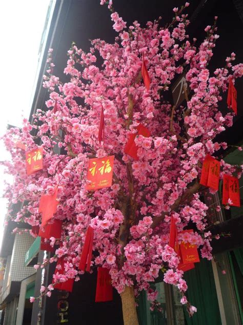 Candid Hong Kong – Cherry blossoms at Chinese New Year | Chinese new ...