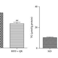 Effects Of Quercetin On Hepatic Histological Changes And Hepatic Lipid