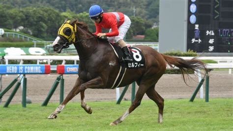 【93 テレq杯ほか】小倉ダイジェストjraレース結果 競馬予想動画 Netkeiba