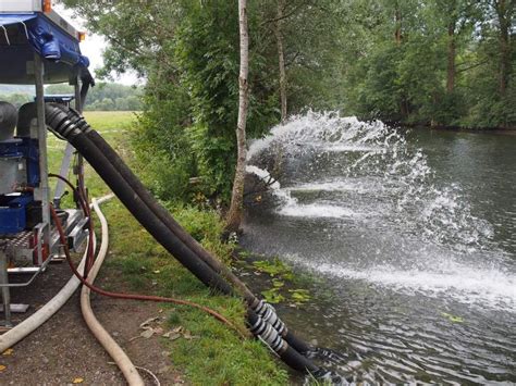 Fischsterben Jagst Krautheim Fotos Proplanta De