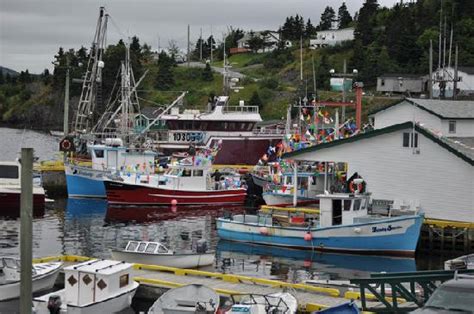 Dildo Canada 2024 All You Need To Know Before You Go Tripadvisor