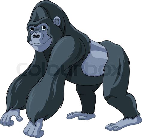 Gorilla Stock Vektor Colourbox