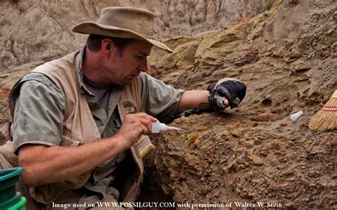 What Does A Paleontologist Do Questions For A