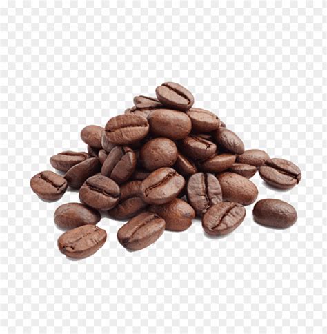 Coffee Bean Transparent Background