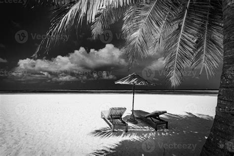 Vista En Blanco Y Negro De La Hermosa Playa Con Hojas De Palmeras