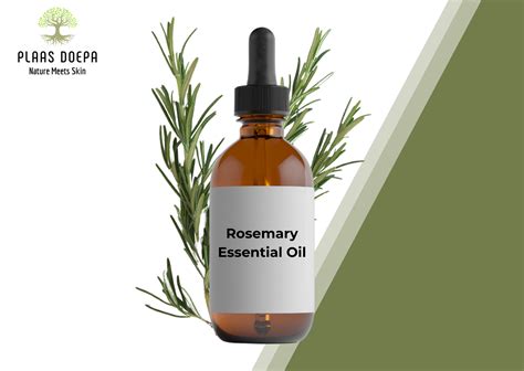 Rosemary Essential Oil · Plaas Doepa