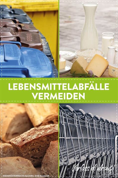 Lebensmittelverschwendung Vermeiden Tipps F R Den Bewussten Einkauf