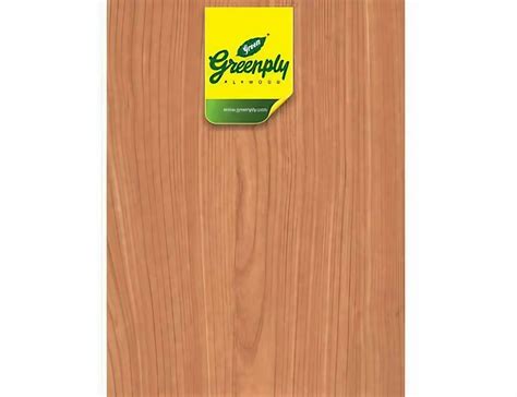 13 Ply Boards Ecotec Green Plywood Size 7 X 4 8 X 4 Feet 16 Mm At