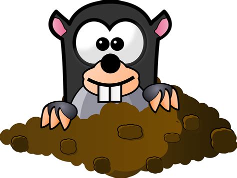 Mole Animal Cartoon Clipart Best