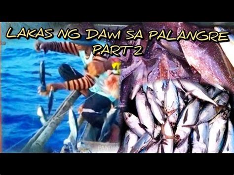 Ep 204 LAKAS NG DAWI SA PALANGRE Part2 Pandanfishingadventure YouTube