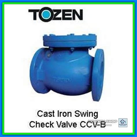 Jual Swing Check Valve Klep Tabok 2 Inch Tozen Tuslah Klep Cast Iron