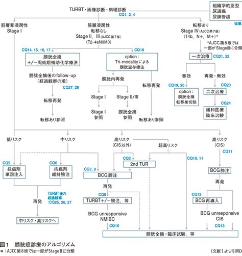 膀胱癌診療ガイドライン2019年版 ガイドライン ココだけおさえる ｜web医事新報日本医事新報社