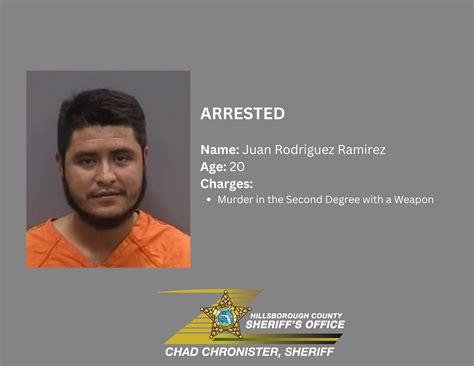 MAN ARRESTED AFTER FATALLY STABBING A FAMILY MEMBER | HCSO, Tampa, FL