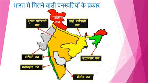 Types Of Natural Vegetation In India PPT PPT