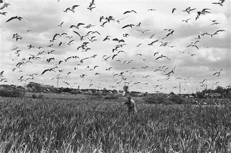 Лобня • Arzamas