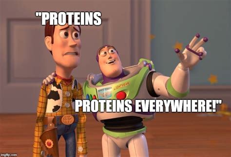 Plasma Membrane Definition Structure And Function