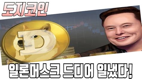 도지코인 전망 일론머스크 드디어 일냈다 Youtube