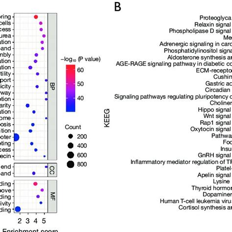 Differentially Expressed Mrna Function Annotation A Go Analysis The