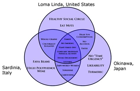 Longevity: The Blue Zones Methusalem Enigma