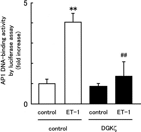 Adenovirus Mediated Overexpression Of Diacylglycerol Kinase Inhibits