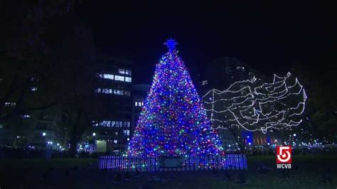 Lighting Of The Boston Christmas Tree Which Has Been Donated By The