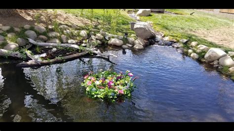 Building A Floating Plant Island For Your Pond Youtube