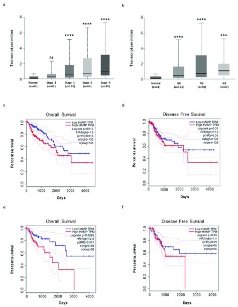 Hepcidin Expression Is Correlated To Crc Progression And Affects