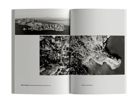 Хорхе Каррион «Вымышленные библиотеки» - ВСЕ СВОБОДНЫ